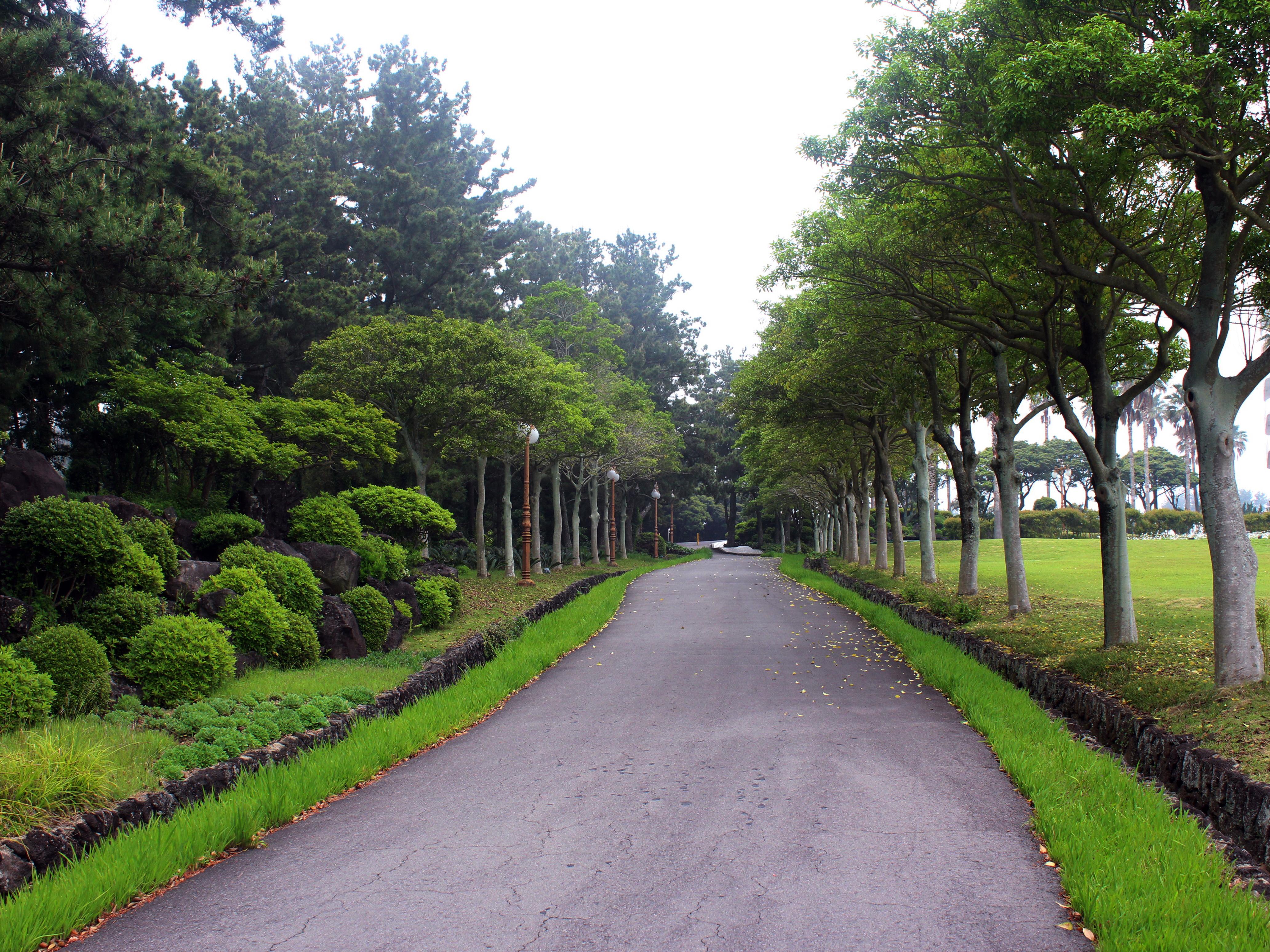 Seogwipo KAL Hotel Esterno foto Road through the park