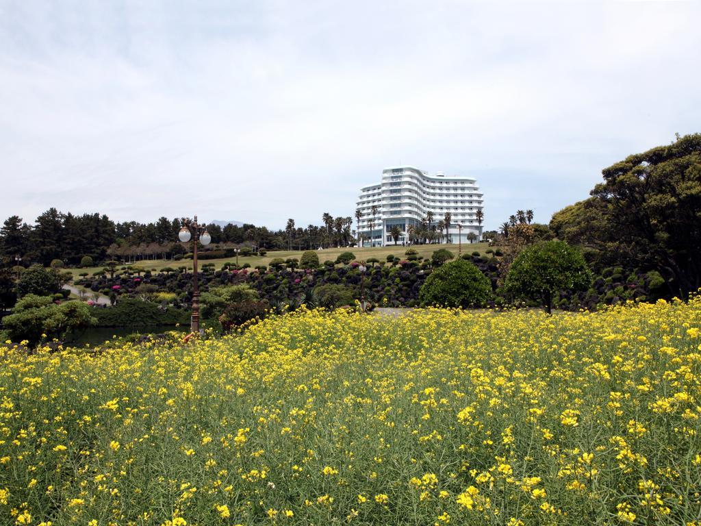 Seogwipo KAL Hotel Esterno foto View of the hotel from the park