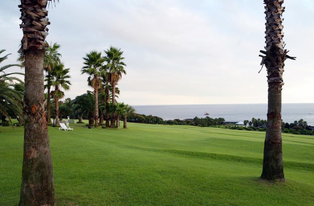 Seogwipo KAL Hotel Esterno foto Golf course in Okinawa