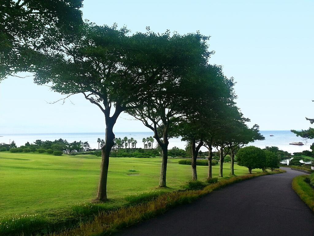 Seogwipo KAL Hotel Esterno foto A view of the golf course