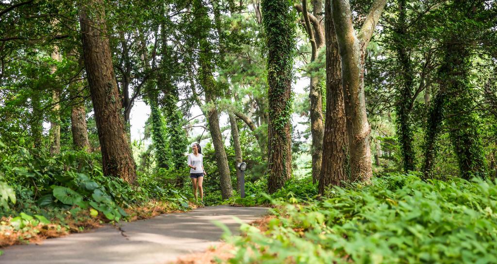 Seogwipo KAL Hotel Esterno foto A trail in the park